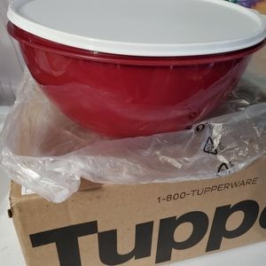 NEW Tupperware THATSA medium bowl